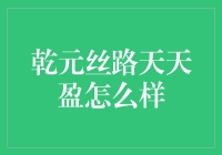 乾元丝路天天盈：带你穿越金融世界的丝素之路