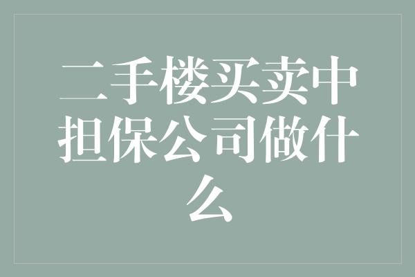 二手楼买卖中担保公司做什么