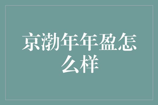 京渤年年盈怎么样