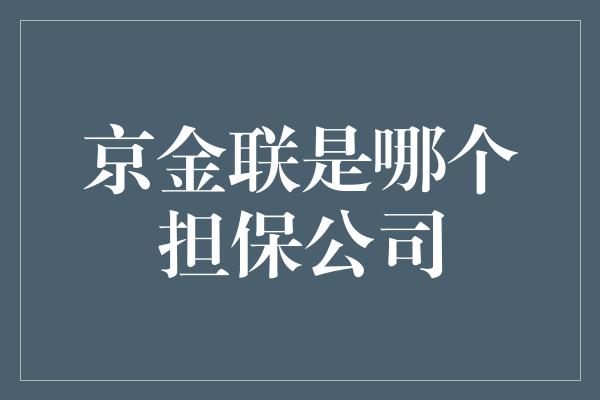 京金联是哪个担保公司