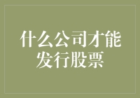 理解中国资本市场：什么样的公司才能发行股票