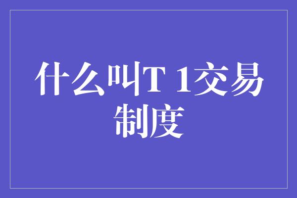 什么叫T 1交易制度