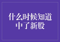 新股抽签揭晓：投资者如何第一时间知晓中签结果