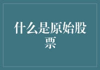 什么是原始股票：理解公司融资与投资的基石