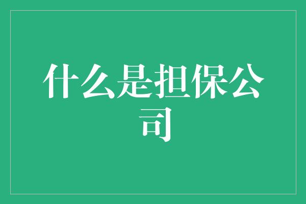 什么是担保公司