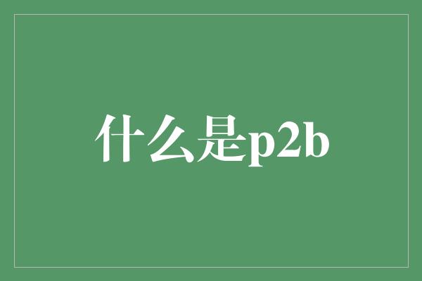 什么是p2b