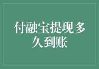 深度解析：付融宝提现多久到账，如何优化资金到账效率？