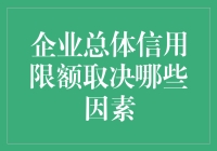 企业总体信用限额的决定因素分析