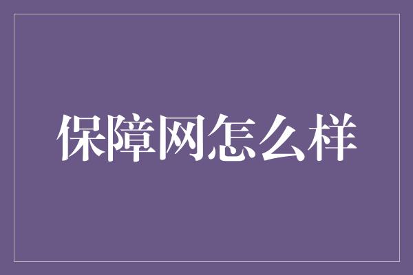 保障网怎么样