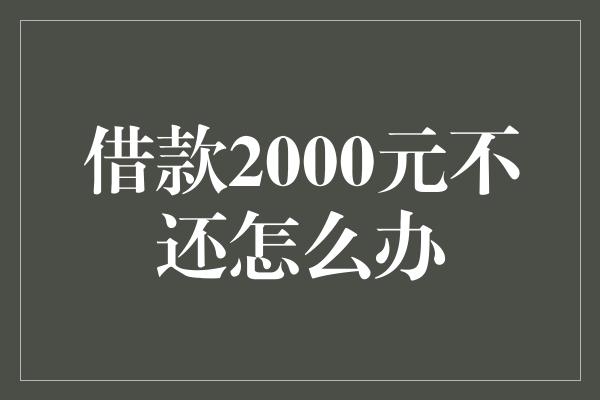 借款2000元不还怎么办