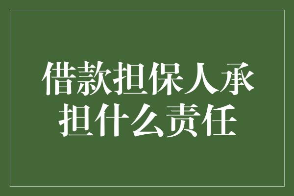 借款担保人承担什么责任