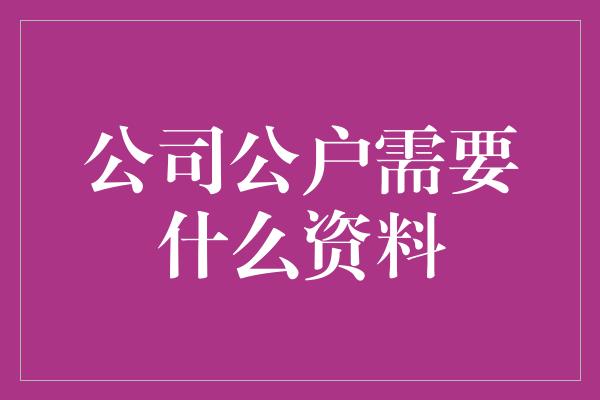 公司公户需要什么资料