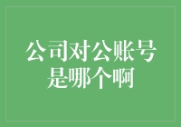 公司对公账号是啥？别急，让我给您一一道来！