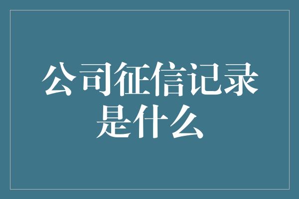 公司征信记录是什么