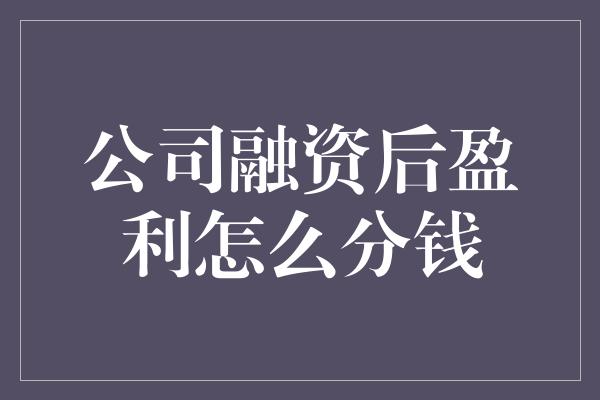 公司融资后盈利怎么分钱