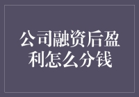 融资后盈利分配：构建股东与公司共赢的长效机制