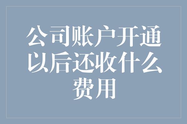 公司账户开通以后还收什么费用