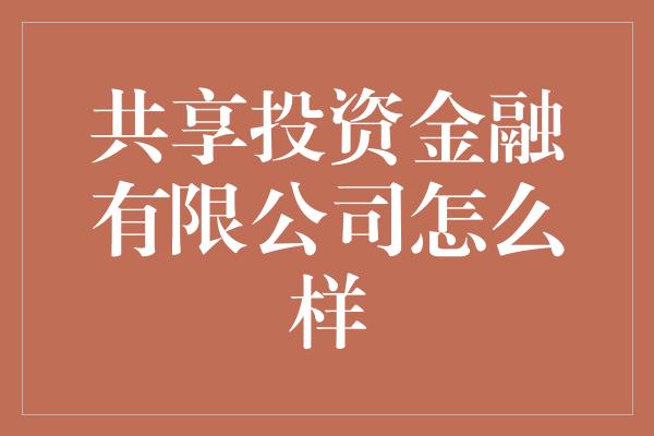 共享投资金融有限公司怎么样