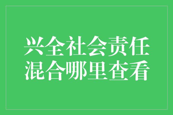 兴全社会责任混合哪里查看