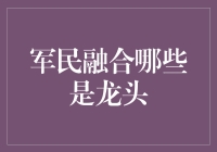 军民深度融合：龙头企业的引领作用与未来发展