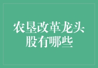 农垦改革龙头股：重塑现代农业版图的领航者