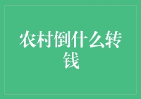 农村创新金融模式：从倒什么转钱到智慧转型