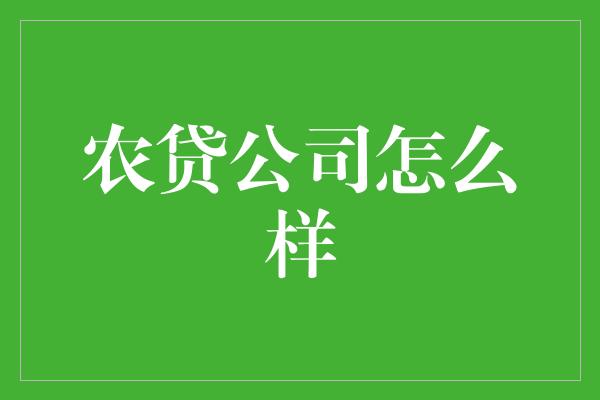 农贷公司怎么样