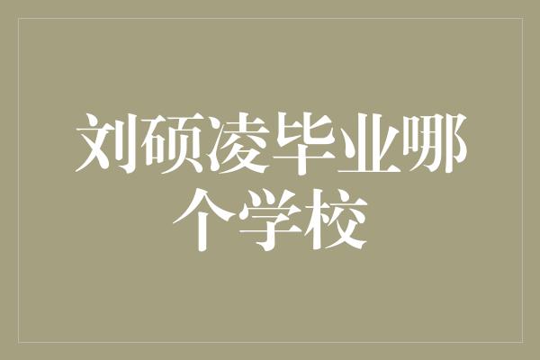 刘硕凌毕业哪个学校