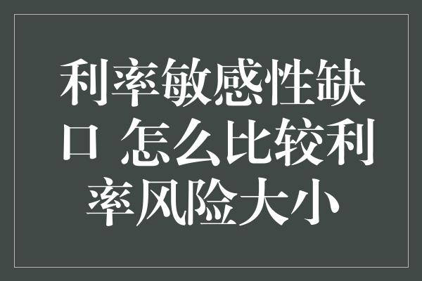 利率敏感性缺口 怎么比较利率风险大小