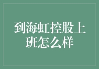 到海虹控股上班怎么样：一场不平凡的工作体验