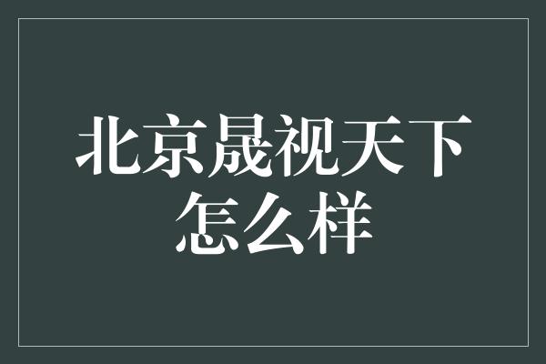 北京晟视天下怎么样