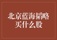 北京蓝海韬略布局股市：价值投资与成长股的选择