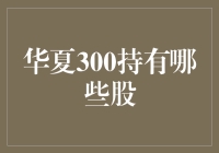 中证华夏300指数基金投资组合分析：专业解读与深度剖析