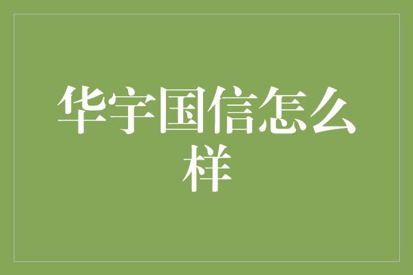 华宇国信怎么样