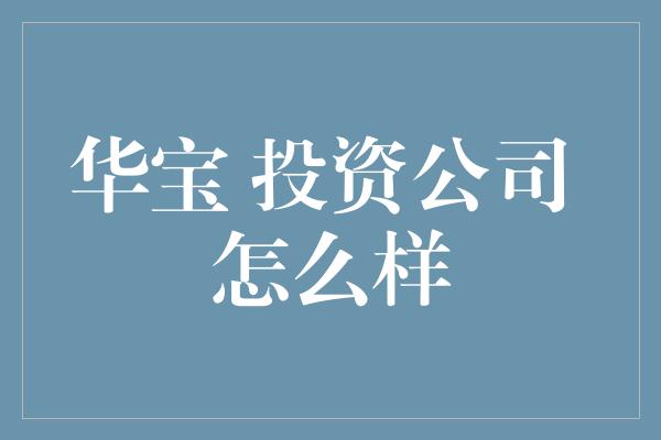 华宝 投资公司 怎么样