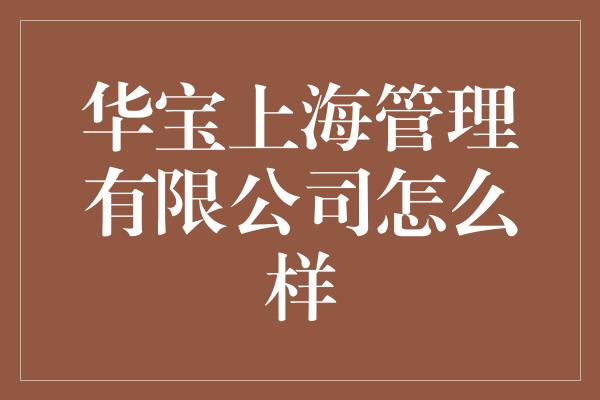 华宝上海管理有限公司怎么样