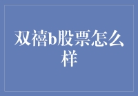 双禧B股票，带你领略股市中的双倍快乐