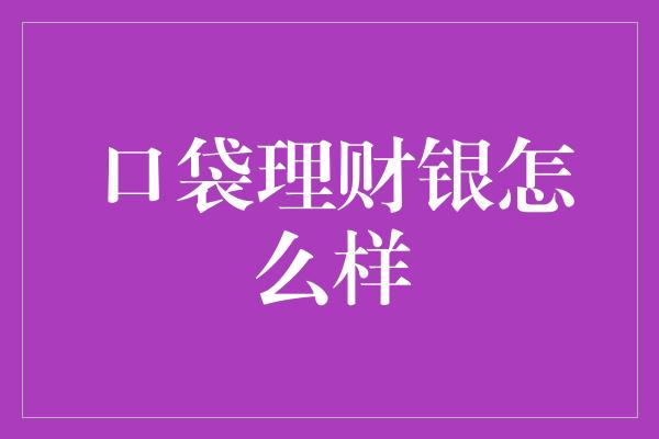 口袋理财银怎么样