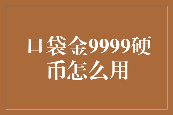 口袋金9999硬币怎么用