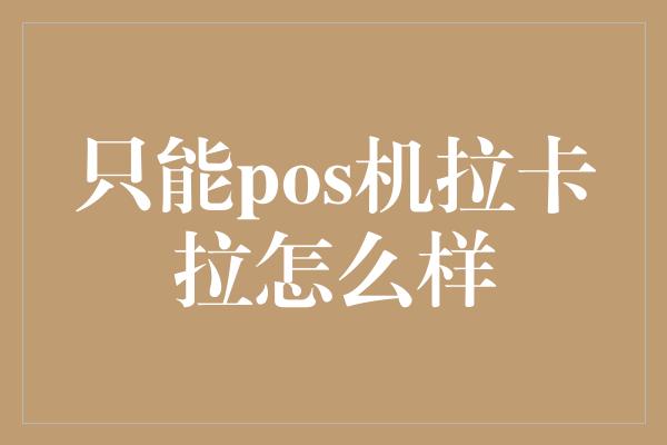 只能pos机拉卡拉怎么样