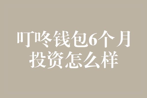 叮咚钱包6个月投资怎么样