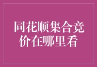 同花顺集合竞价查看指南：专业投资者的秘密武器