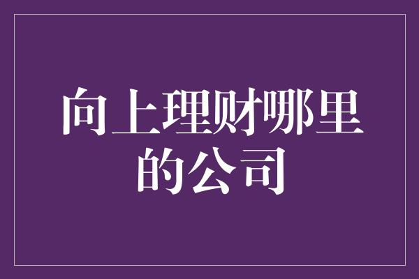 向上理财哪里的公司