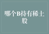 探秘稀土股背后的B类股东：谁将引领行业未来？