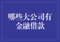 揭秘金融借款：哪些大公司需要外部资金支持？