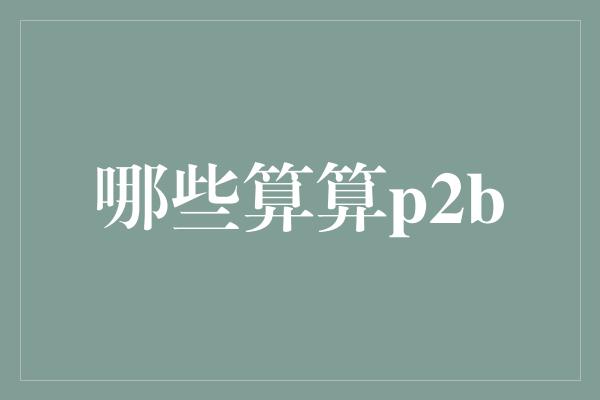 哪些算算p2b