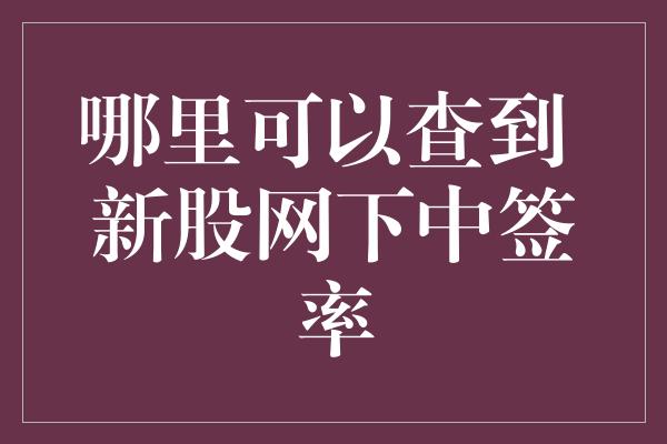 哪里可以查到 新股网下中签率