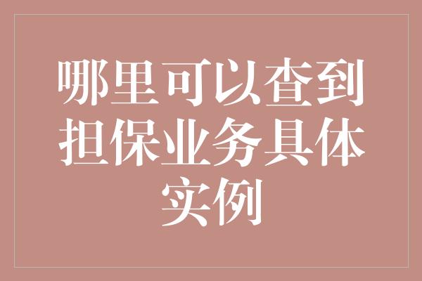 哪里可以查到担保业务具体实例