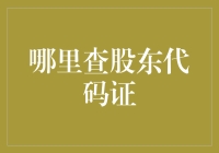 股东代码证查询指南：如何在茫茫股东海洋中找到自己的小岛