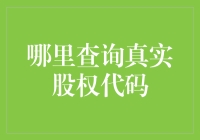 股票投资者的魔法寻宝指南：寻找真实股权代码的奇幻之旅